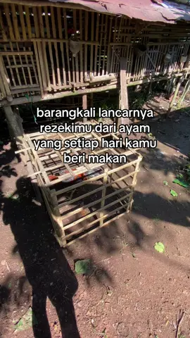 semoga😇#kandangjs77 