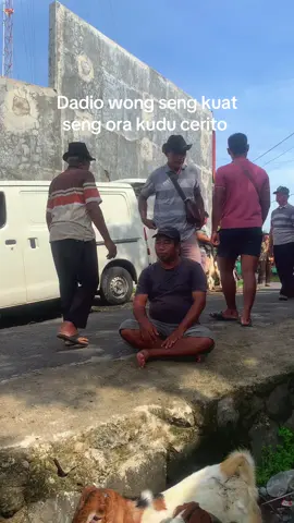 Sabar yo kang nyat kabeh ora kudu saiki 🙃 #wedus #bakulwedus #peternak #peternakmuda #fyp 