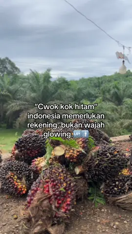 #sawit #sawitontiktok 