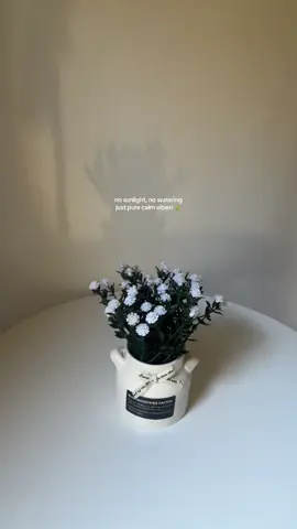 no sunlight, no watering just pure calm vibes! 🍃 #bonsaimini #bonsaitree #artificialbonsai #fakeplants 