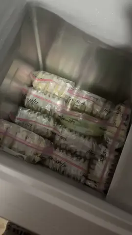 #breastfeeding #breastfeedingjourney #breastfed #freezer #freezerstash 