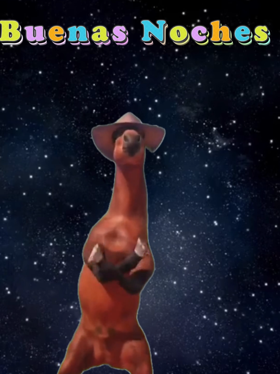 #buenosdias242 #buenasnoches 