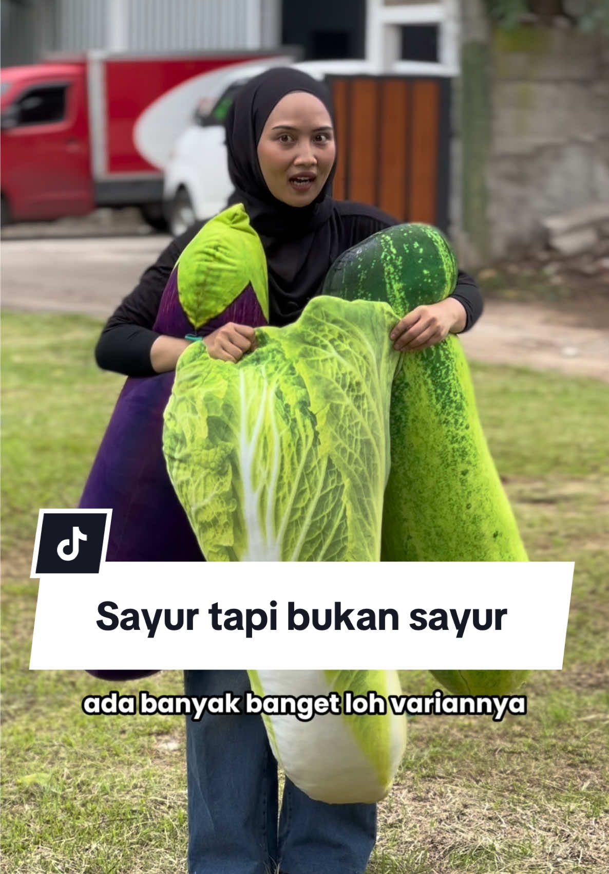 Jadi ini sayurrr atau .... #sayur #bantalsayur #unik #hadiah #bizzarpillow 