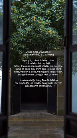 Duyên khởi duyên tận, mọi cảm thọ đều là giả tướng.. (Luận vể sự vô thường trong nhân duyên). #phatphap #phatphapnhiemmau #tientutap #phatphapvadoisong #nhanduyen 