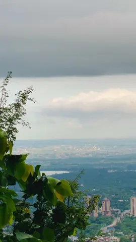 Beauty Of Islamabad In One frame 🖼️❤️‍🩹⛰️🌳#fyp #fypツ #foryou #foryoupage #margallahills 