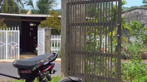 dọn xe đón tết gì chưa ngdepp 🤩#xuhuong #xh #fyp #xediendo #tet 