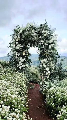 •	ทุกการบาน คือการเติบโต 🍃🌷#ยิ่งยงสวนดอกไม้ #yingyongflowergarden 