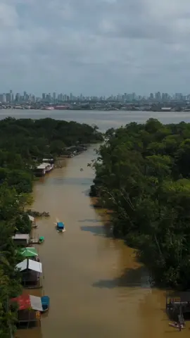 Bem vindo a cop 30 da Amazônia em Belém do Pará! 🇧🇷❤️ #americadosul #americalatina #belemdopará #geography #brasil🇧🇷 