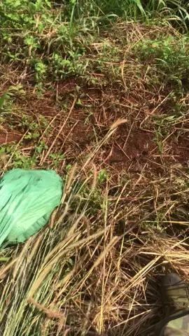 Ae hiểu cảm giác này chứ 😁