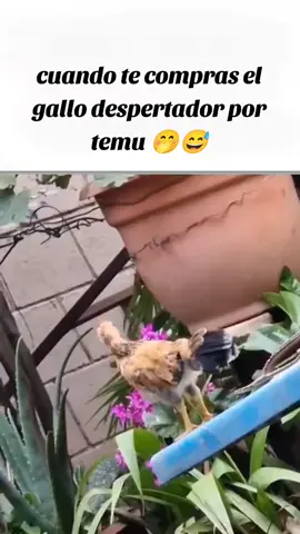 #LIVEIncentiveProgram #LIVECanBeEasy #PaidPartnership 