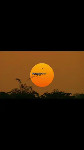 មនុស្សប្រុសមុនចង់បានភរិយាត្រូវទទួលបានការពិតទាំងនេះ#motivation #fyp #like #real #life 