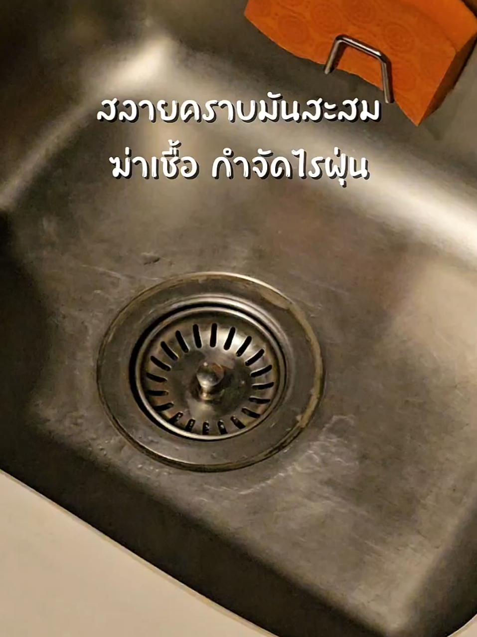 สลายคราบมันสะสม กำจัดไรฝุ่นแบบกริ๊บ ชีวิตง่ายขึ้นมากก🥰 #deerma #deermazq01 #steamcleaner #ทําความสะอาด #ไอเท็มเด็ด 