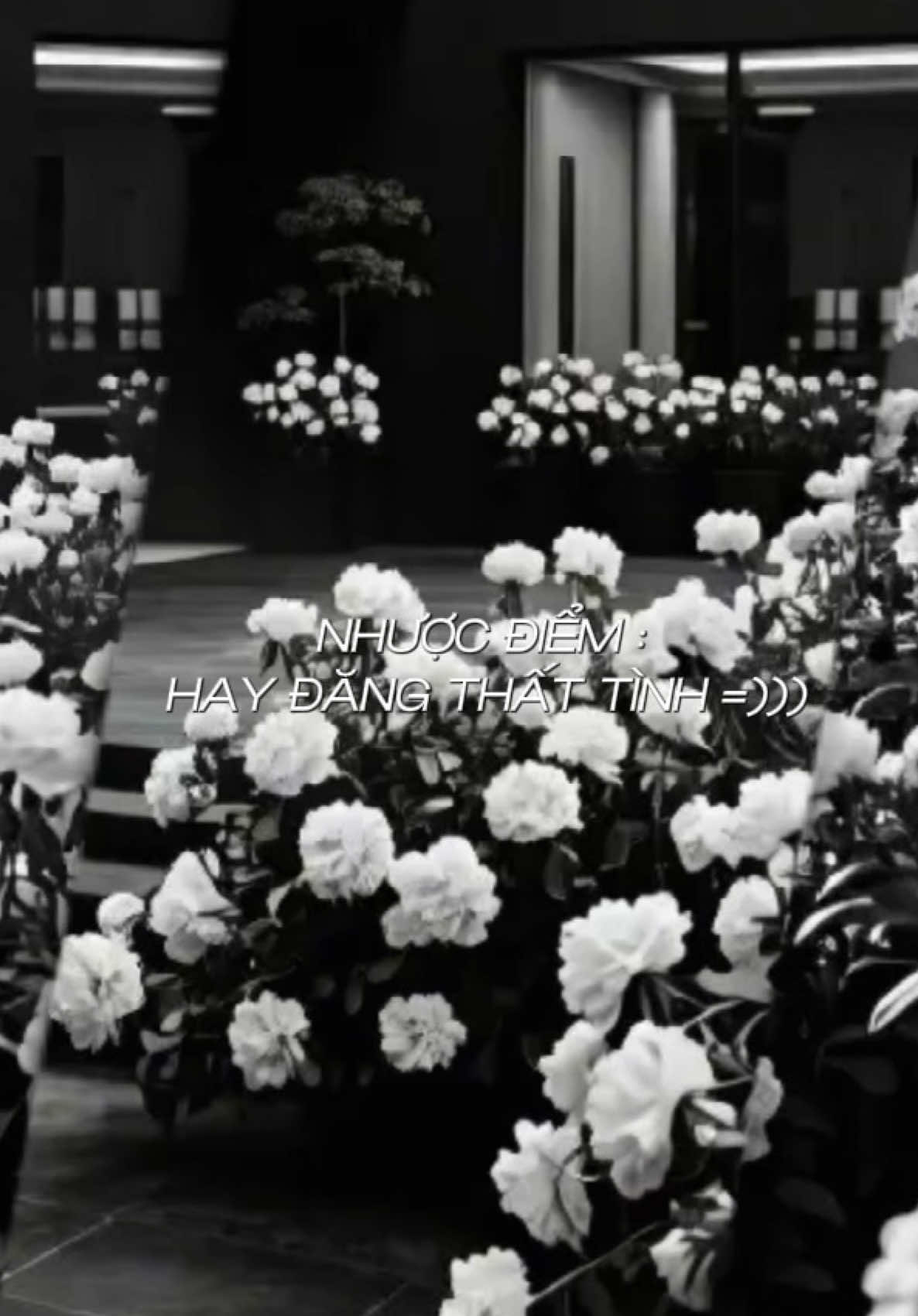 Sỉn sỉn về đăng chắc lun 😂😂 #nhauduoimua#capcut#voicehai#thattinh 