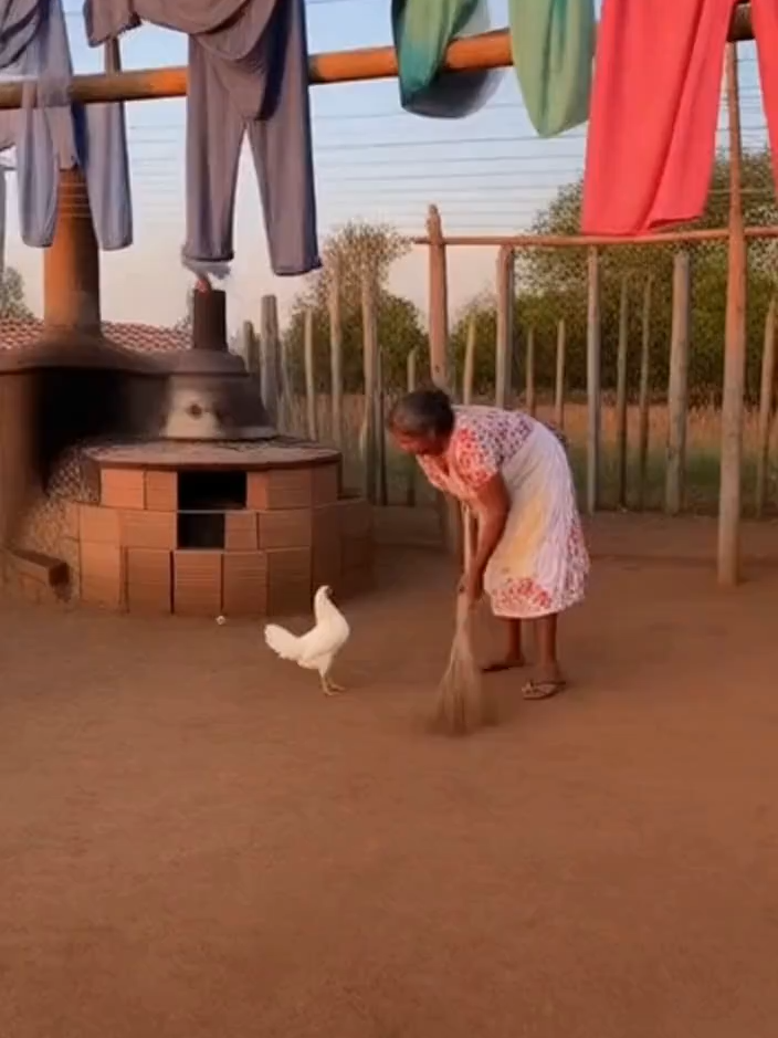 GALINHA POSSUÍDA !!😱