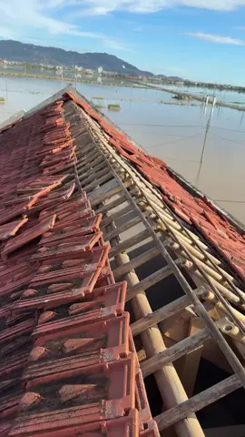 Chị bão 13 đến quá đáng sợ 🥲. Giờ hổng biết bắt đầu dọn từ đâu luôn #bão13 #xuhuong #binhdinh 