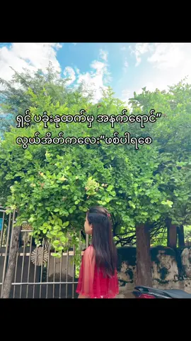 ရှင့်နှလုံးသားထက်မှ ရှင့်ရဲ့အရာ”လေးဖစ်ပါရစေ#fypシ゚viral🖤tiktok☆♡🦋myvideo #fyppppppppppppppppppppppp #သူများတွေလိုတော့ချစ်ဖို့မကောင်းဘူး🥺 