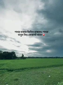 শখের হাজার জিনিস থাকলেও শখের মানুষ কিন্তু একজনই থাকে!❤️‍🩹 #foryou_ #foryoupage #trending_ #vairal_ #1million_tik_tok 