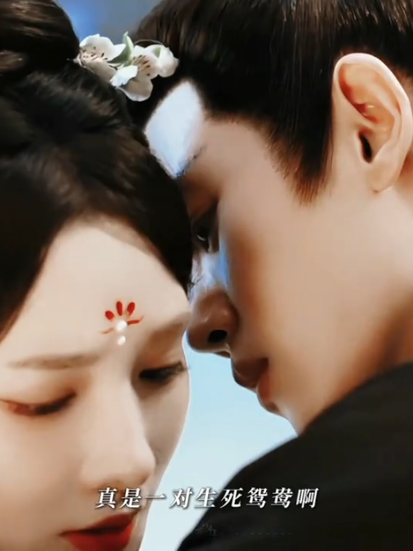 #phuonghoangdaithuong #nhamgialuan #banhtieunhiem 