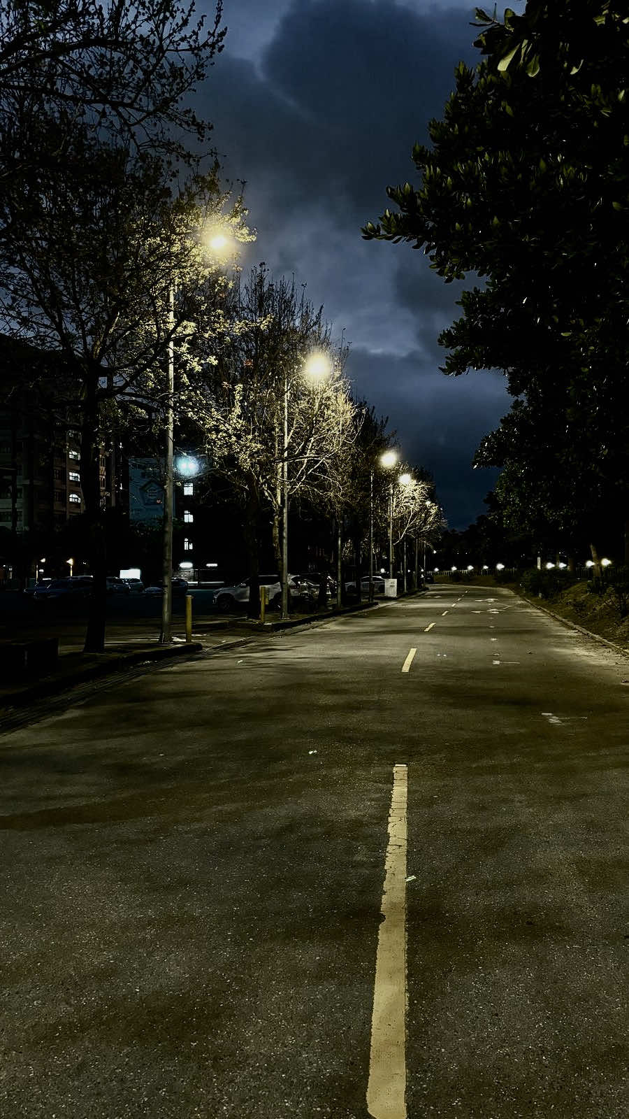 Thương thì thương thương vậy thôi#su15089x #fyp #nhactamtrang #podcast #sbtentertainmentt 