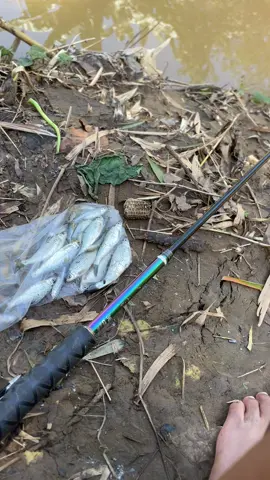 jumat berkah jere #pokokemancing😁 #fyp #mancingliar #anglerindonesia #ponorogo24jam 