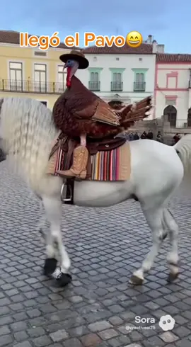 Bailes perrones #parati #diadeacciondegracias🍁🦃 #paratii #llegoelpavo 