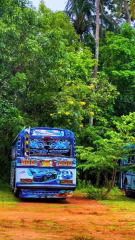 🥺✨#ruhunuexpress #ND2408 #trending #foryou 