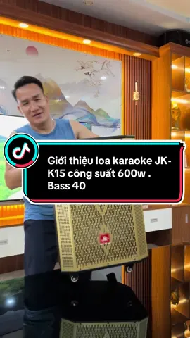 Giới thiệu loa karaoke JK-K15 công suất 600w #tiendinhaudio #loakaraoke #loakeo#jk#k15
