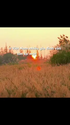 Giáo dục truyền thống Việt Nam #999loihuavoibanthan #BookTok #phattrienbanthan #loikhuyen #xuhuong 