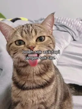 Versi foto geser#capcut #trend #fypage 