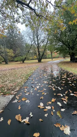 Let the rain wash your worries away 🍁🍂 #rain #fall #autumnvibes🍁 