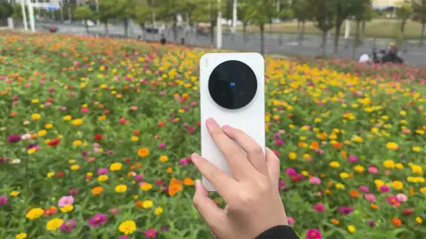 X300 có thể là pro mạnh nhất năm nay. vẫn không có sự chờ đợi.#douyin #vivo #x300pro #xuhuongtiktok #xuhuong 