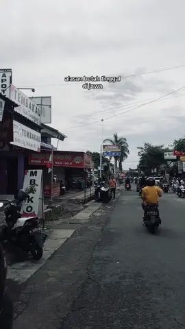 excited bgt org-org😭🙏🏻