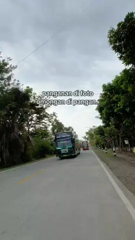 😹😹 #storybus #satriamudatransport #pyf 