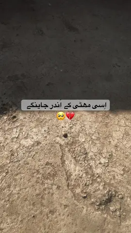 So prepared your self for 🪦😭#newaccount #foryou #foryoupage #viewsproblem #viral?videotiktok😇😇 