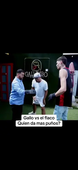 #fyp #gallotheproducer 