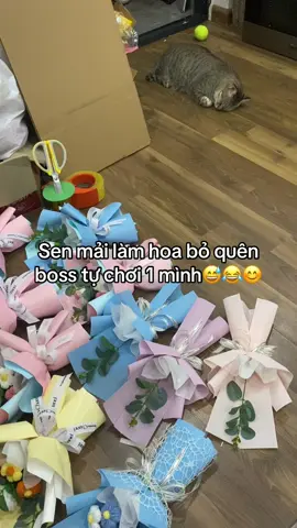 #funnyvideos #meo #pet #fatcat #viral 