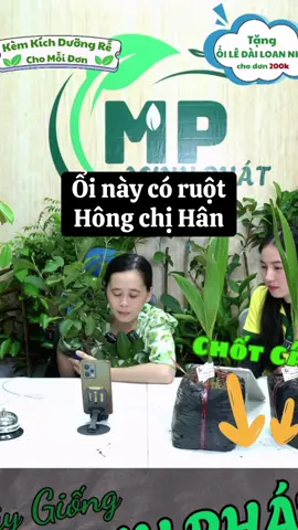 Cha nào hỏi vậy #hannguyen #haihuoc 