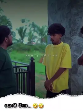 කොට එකා..!  🤣💔