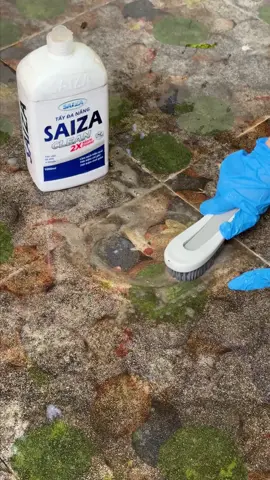 Dọn dẹp cả buổi cuối cùng cũng bị mẹ chồng chê ở dơ#xuhuong #taydanangsaiza 