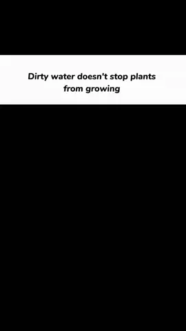 RACE AHEAD OF l NEGATIVITY! 🔥💪 #Motivation #Inspiration #PositiveVibes #GrowthMindset #OvercomeObstacles