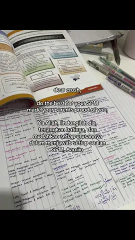 do the best okyyy? #fyp #crush #SPM #08 