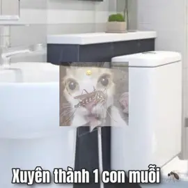 Tôi xuyên không r cre:Kawaa #fyp 