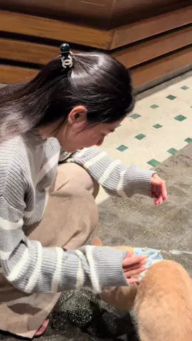 Ai xin vía tóc nữa khôg? Nay khô sơ luôn rồi đó.😁