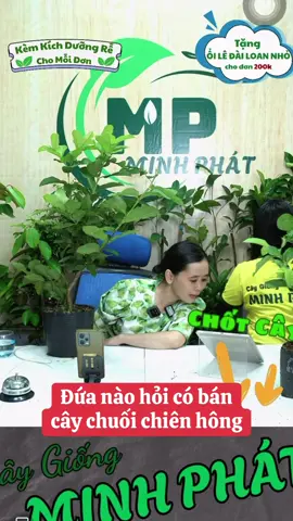 Đứa nào hỏi có bán cây chuối chiên hông chị #hannguyen #funny 