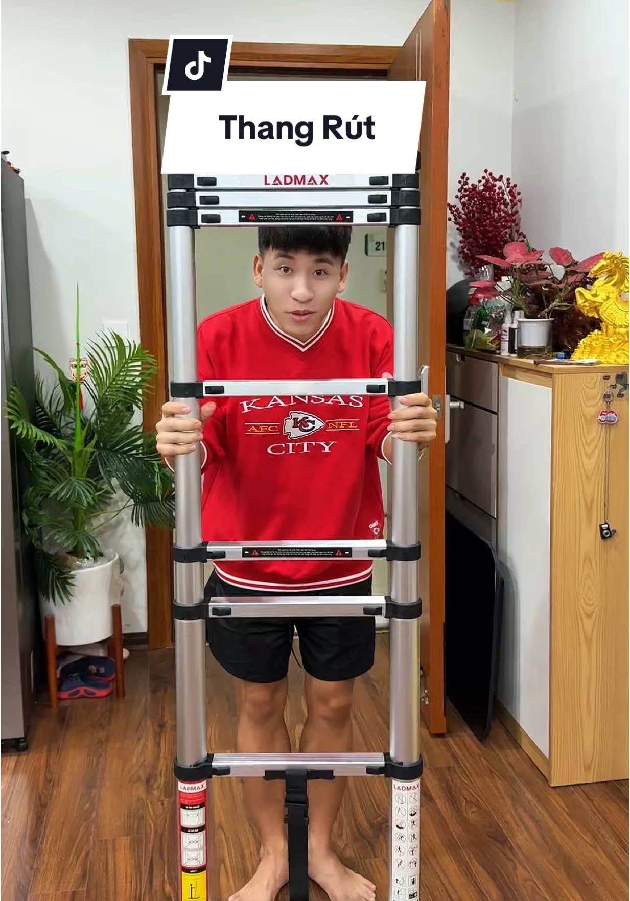 LADMAX Thang nhôm rút đơn xếp#haohomhinh #thangrutdon 