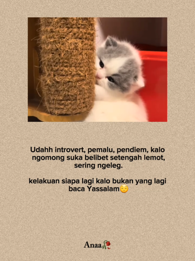 #quoteslucu #kucing #indiasong #foryou #xbcyza 