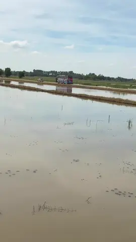 ขบวนรถบัสหมอนทองวิทยาบอล 7 สี