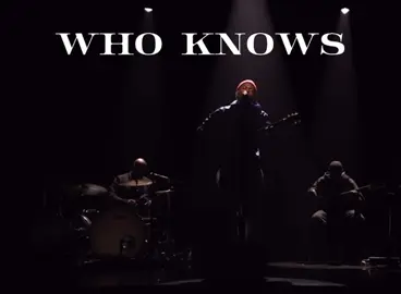 DANIEL CAESAR JOMMY FALLON WHO KNOWS no edit today yall🫡 enjoy sum caesar for you #danielcaesar #jimmyfallon #liveperformance #sonofspergy #fyp 