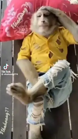 Ẻm hát ca cổ hay vậy ta 