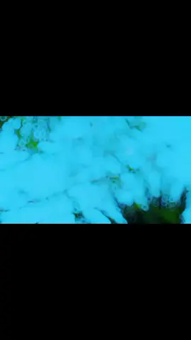 #duet with @This is Local Hero #kabirfaisal443 